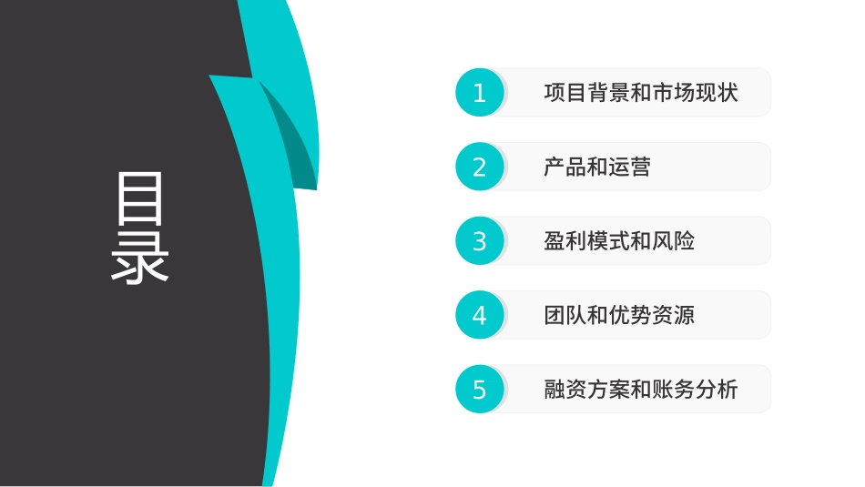 简约大气创业融资商业计划书_第2页