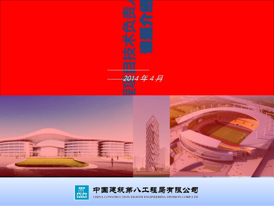 建设工程项目技术负责人执业导则_第1页