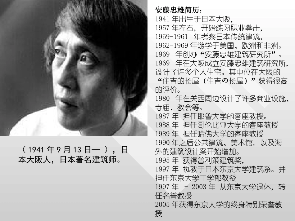 建筑安藤忠雄建筑作品分析_第2页