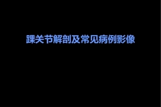 讲座踝关节MRI解剖和典型病例分析