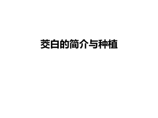 茭白的简介和种植