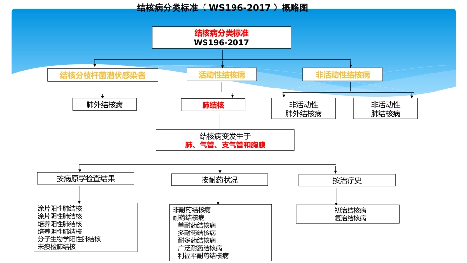结核病诊疗标准解读_第3页