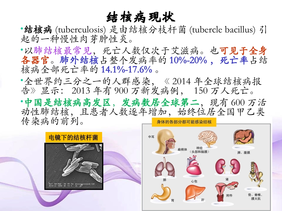 结核感染T细胞TBIGRA检测及意义_第3页