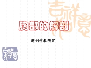 解剖学课件胸部解剖