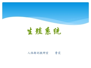 解剖学生殖系统