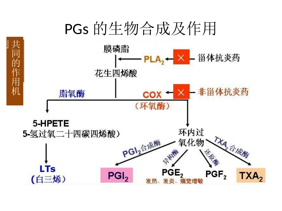 解热镇痛抗炎药和抗痛风药讲解_第2页