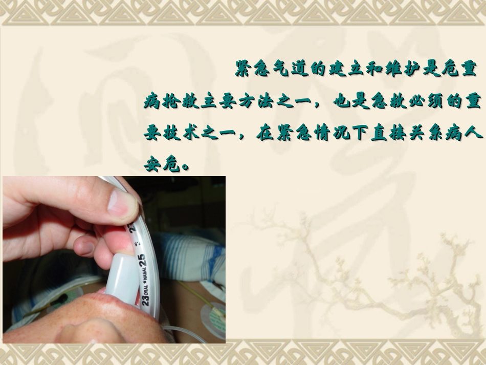 紧急气道的建立及管理_第3页