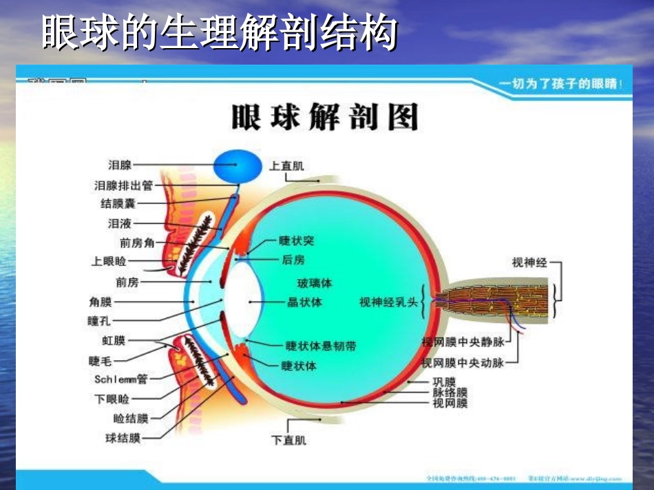 近视的形成和危害全解_第2页