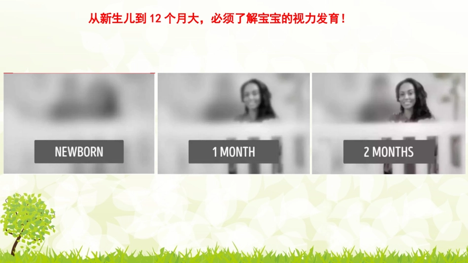 近视防控从娃娃抓起课件_第3页