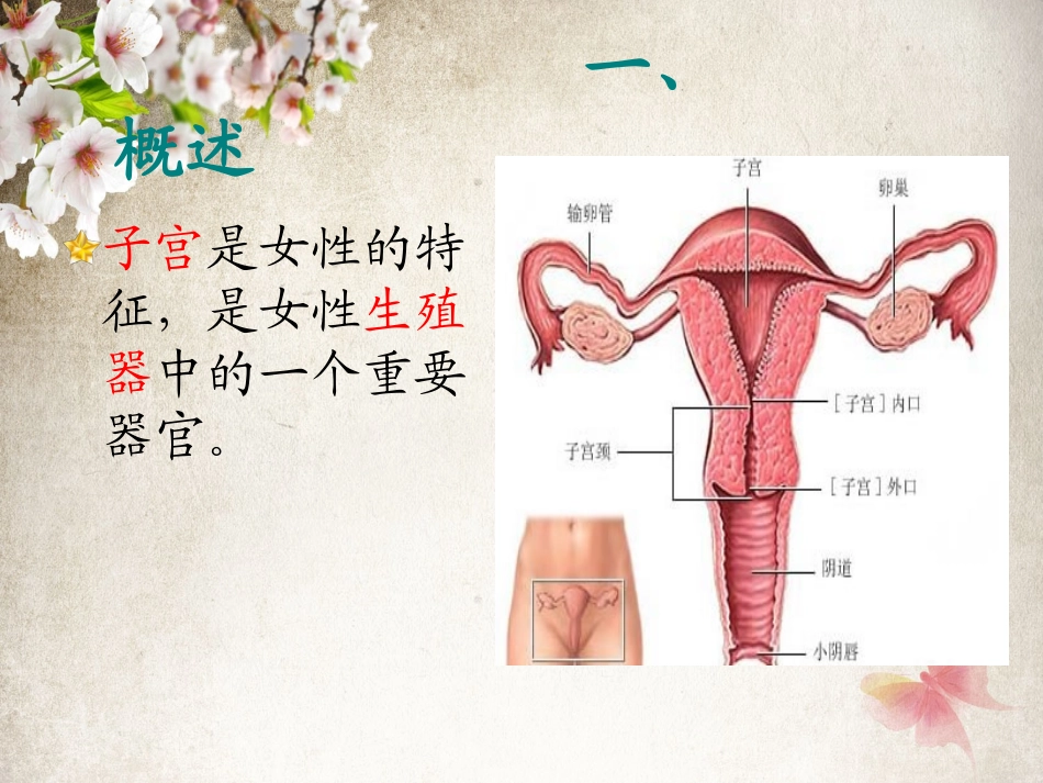 经腹全子宫切除术的手术配合_第3页