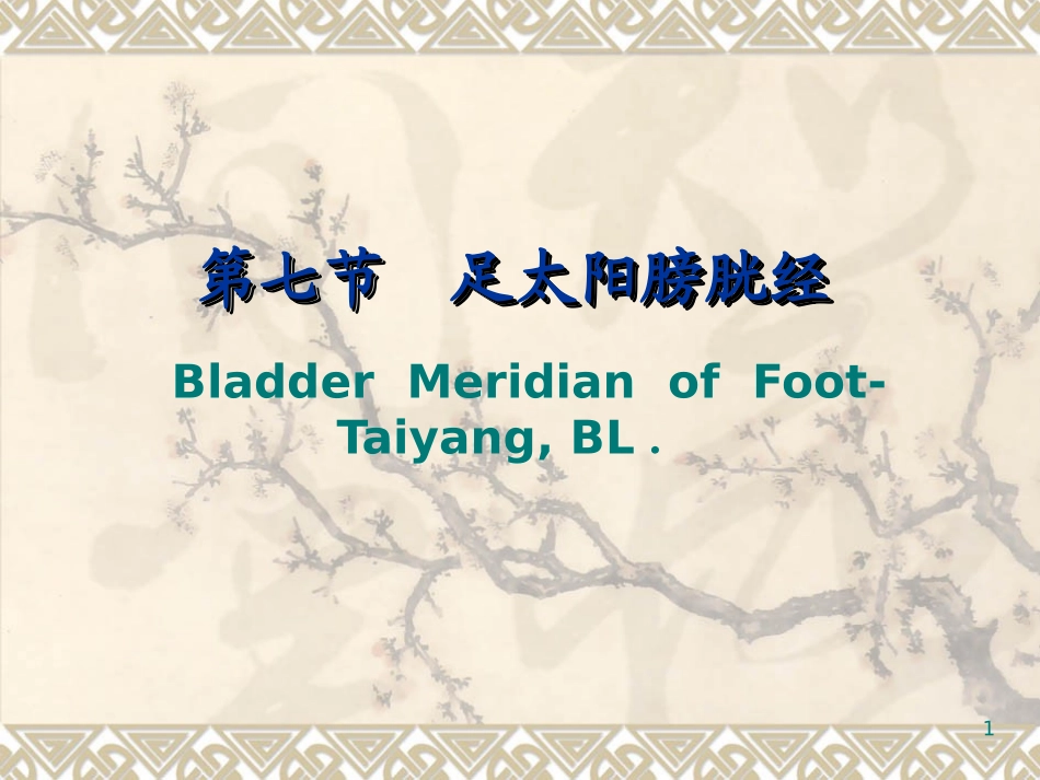 经络腧穴各论膀胱_第1页