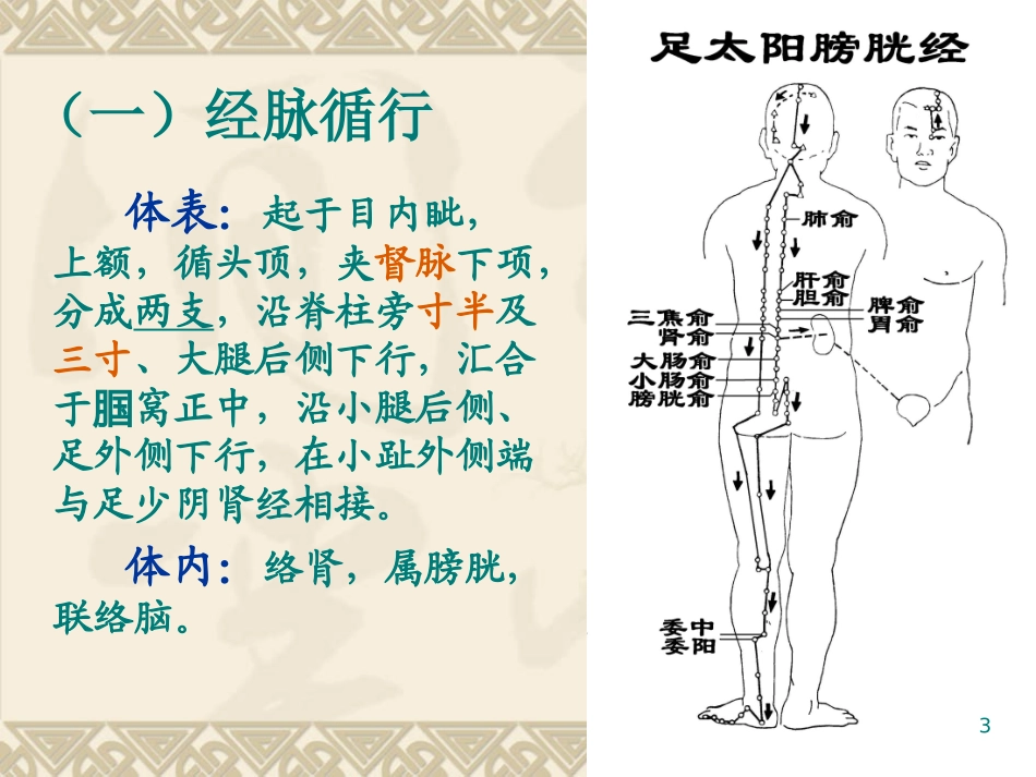 经络腧穴各论膀胱_第3页