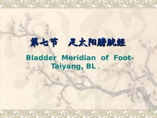 经络腧穴各论膀胱