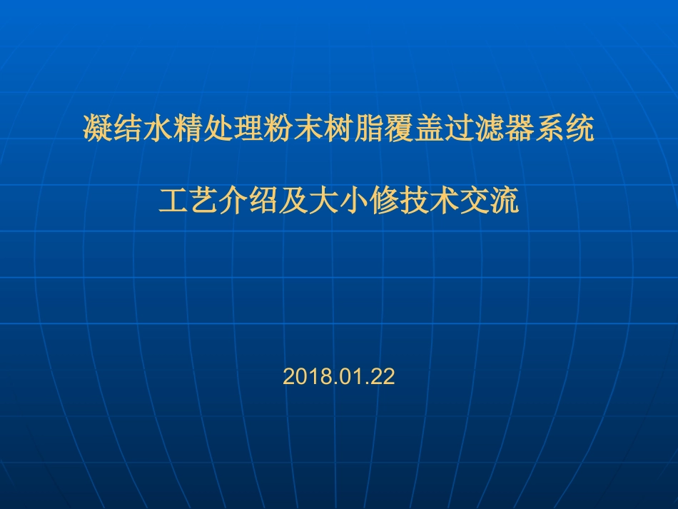 精处置粉末树脂覆盖过滤器工艺介绍及大小修管理技术交流_第1页