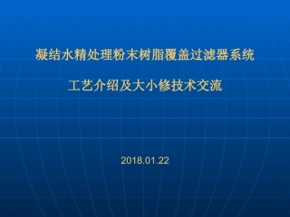 精处置粉末树脂覆盖过滤器工艺介绍及大小修管理技术交流