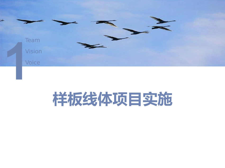 精益生产样板线项目实施_第1页