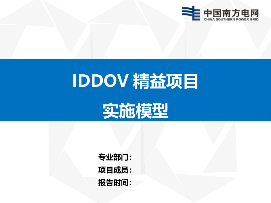 精益项目IDDOV实施模型_第1页