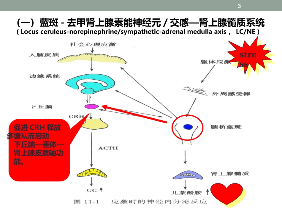精准控制应激加速患者术后康复改新_第3页