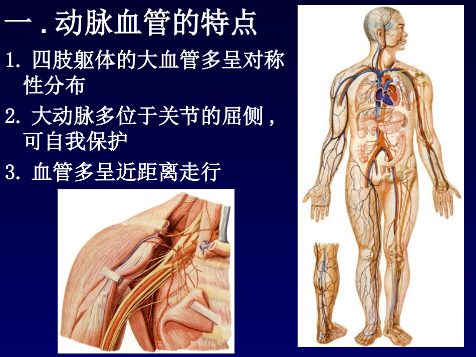 颈动脉窦课件_第2页