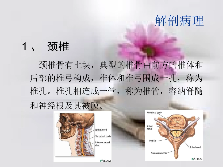颈椎病康复评定_第3页