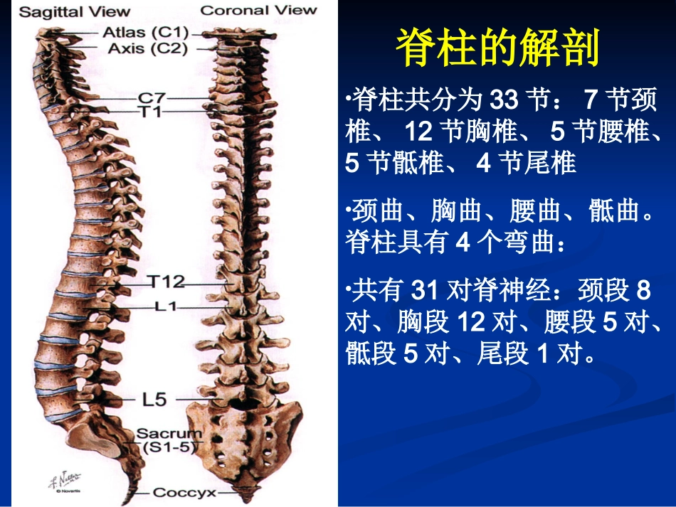 颈椎病围手术期护理_第2页