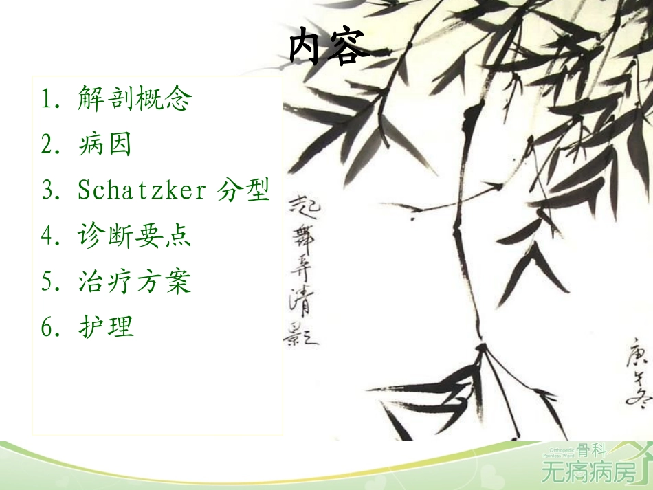 胫骨平台骨折的护理_第2页