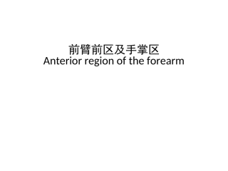 局部解剖臂后区前臂后区手背