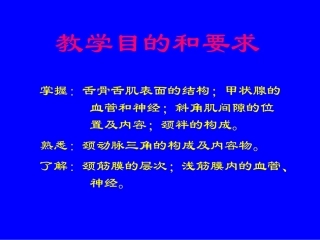 局部解剖学颈部