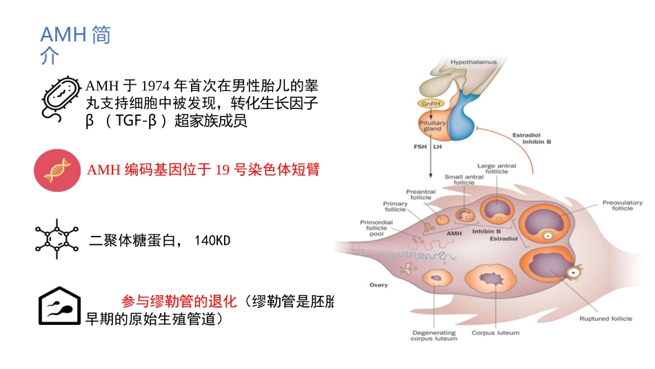抗缪勒管激素AMH_第3页