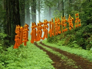 抗疲劳功能性食品