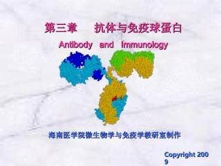 抗体和免疫球蛋白