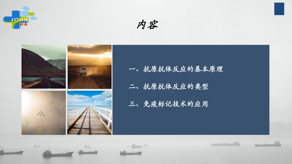 抗原抗体反应及其应用_第2页