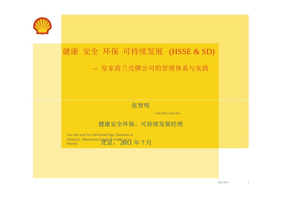壳牌公司HSSE管理体系_第1页
