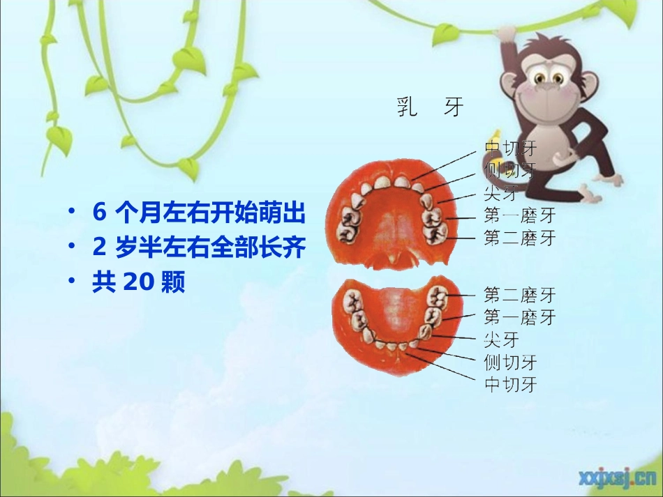 口腔常见疾病_第2页