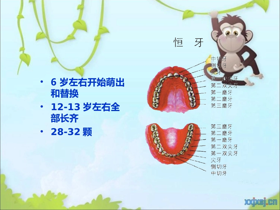 口腔常见疾病_第3页