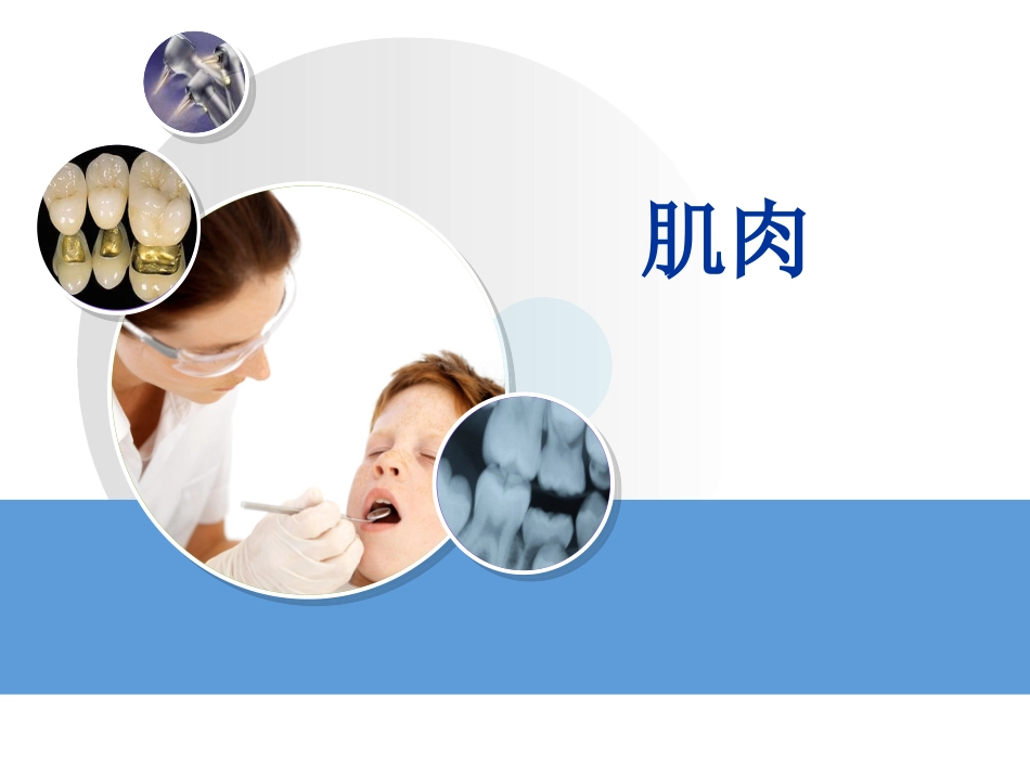 口腔颌面部肌肉课件_第3页