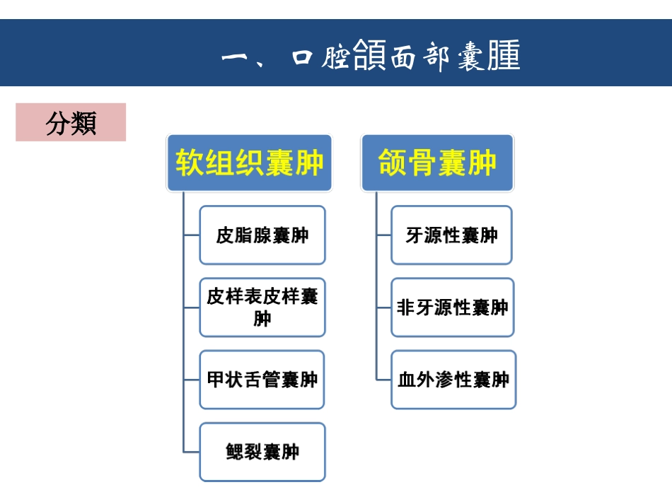 口腔颌面部良性肿瘤_第2页