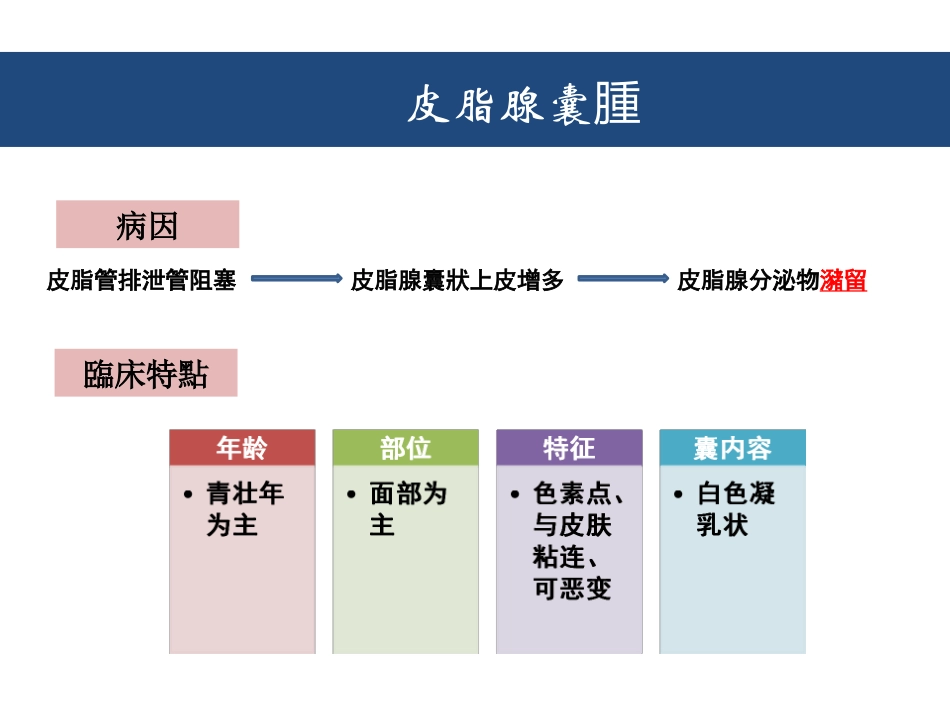 口腔颌面部良性肿瘤_第3页