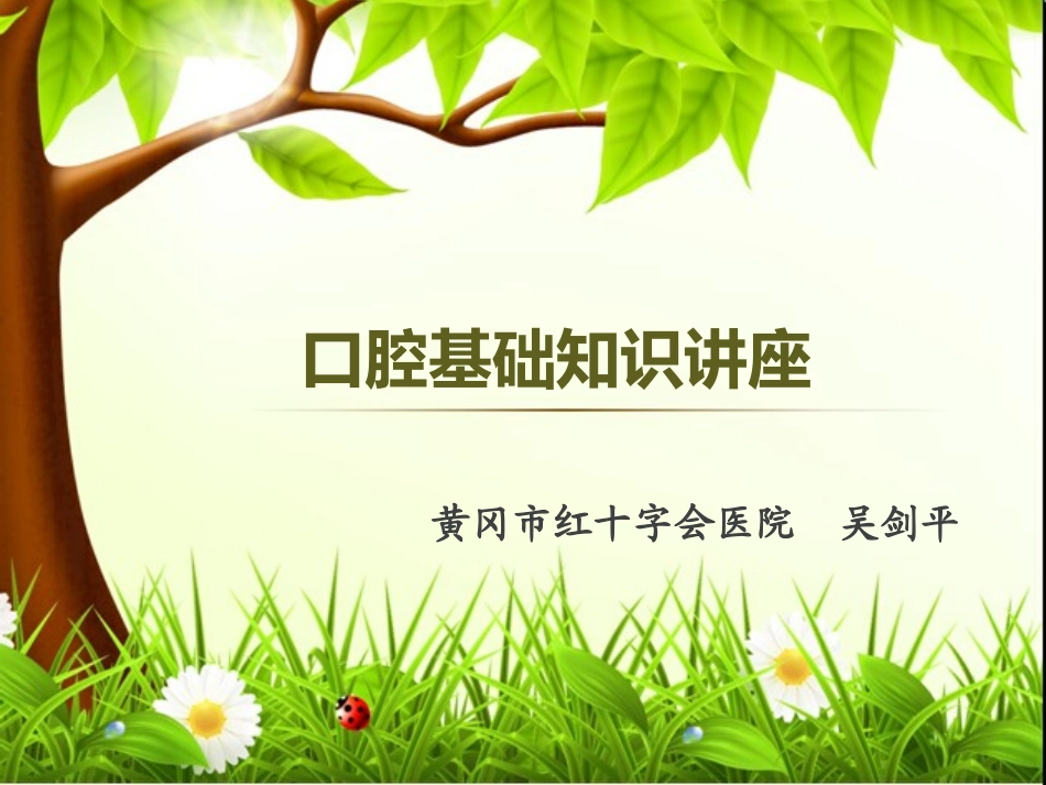 口腔基础知识讲座_第1页