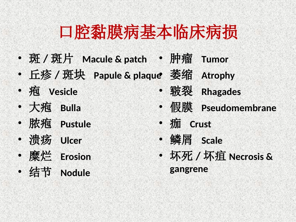 口腔粘膜大孢类疾病_第2页