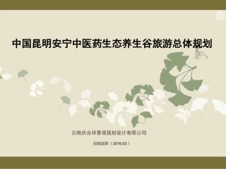 昆明安宁中医养生谷旅游总体规划