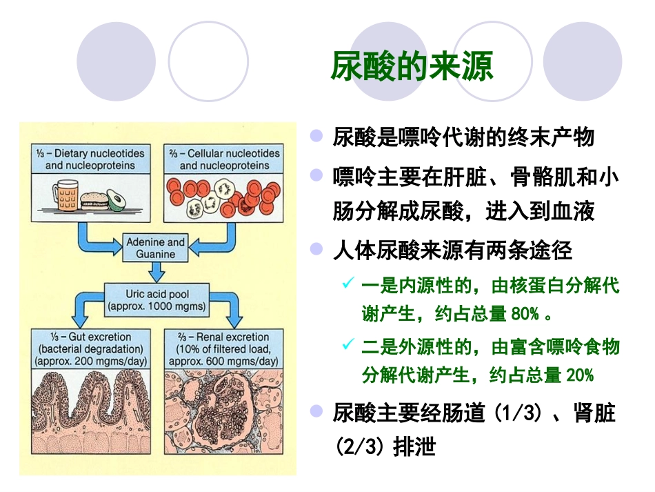 老年高尿酸血症的防治_第3页