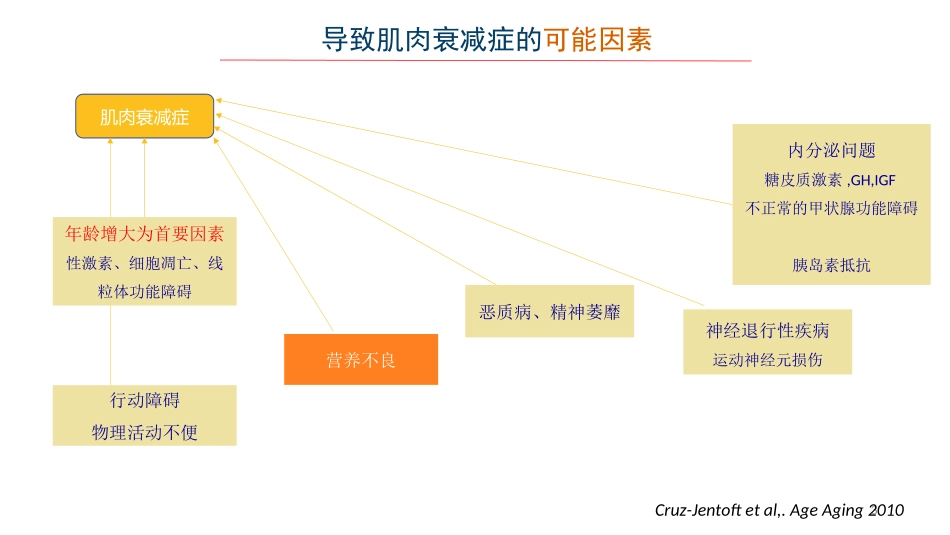 老年肌肉衰减症讲解_第3页