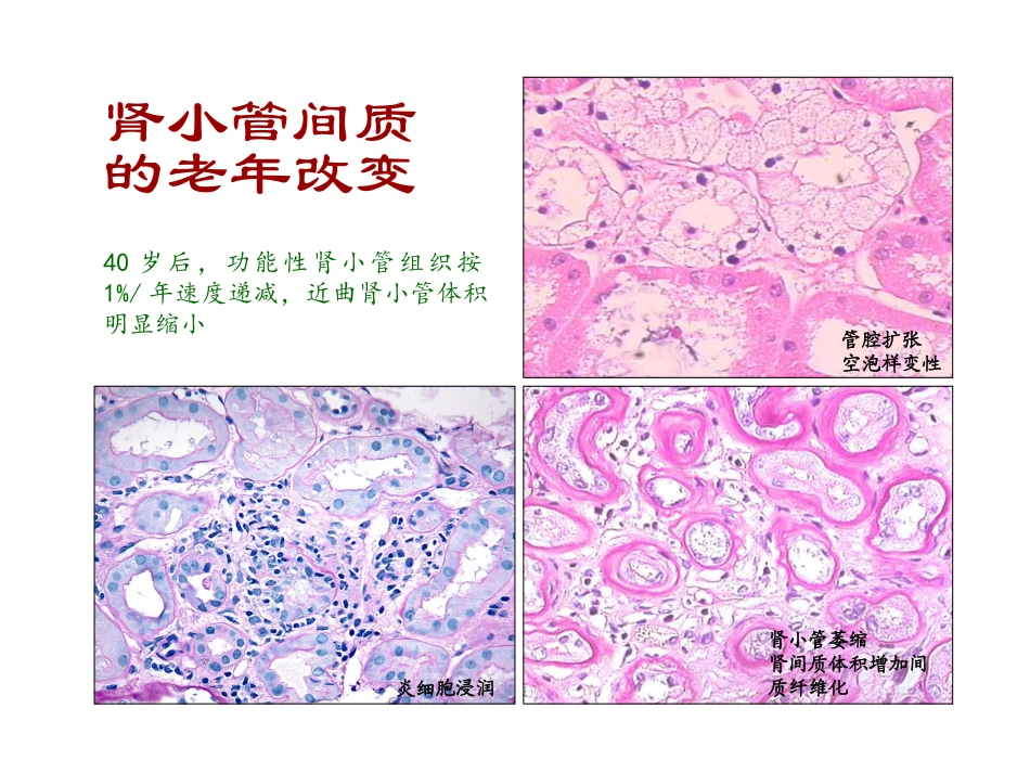 老年肾功能和用药_第3页