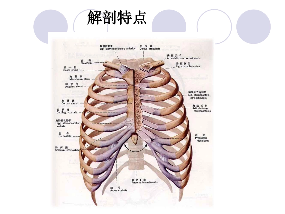 肋骨骨折课件_第3页