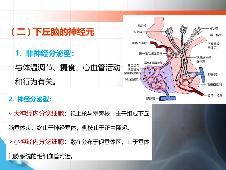 累及下丘脑和垂体腺病变的定位_第2页