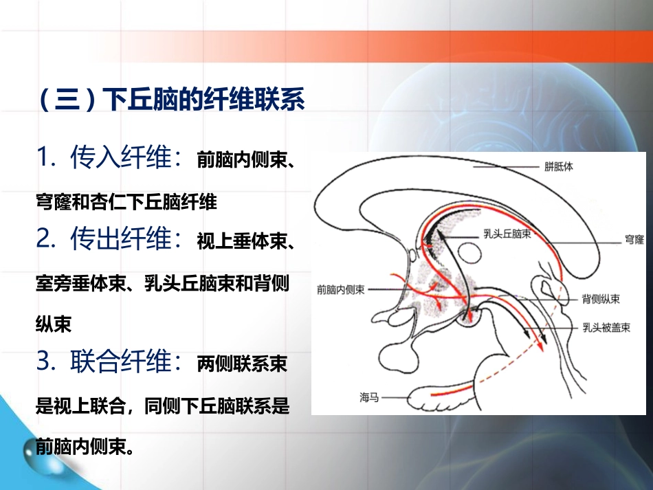 累及下丘脑和垂体腺病变的定位_第3页