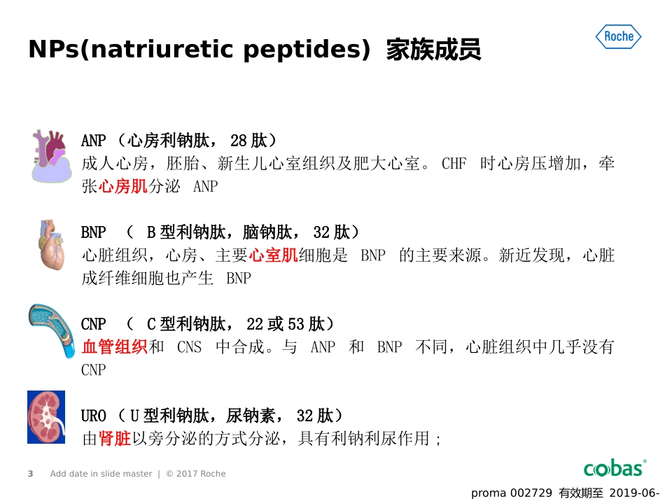 利钠肽临床价值更新ybq副本_第3页