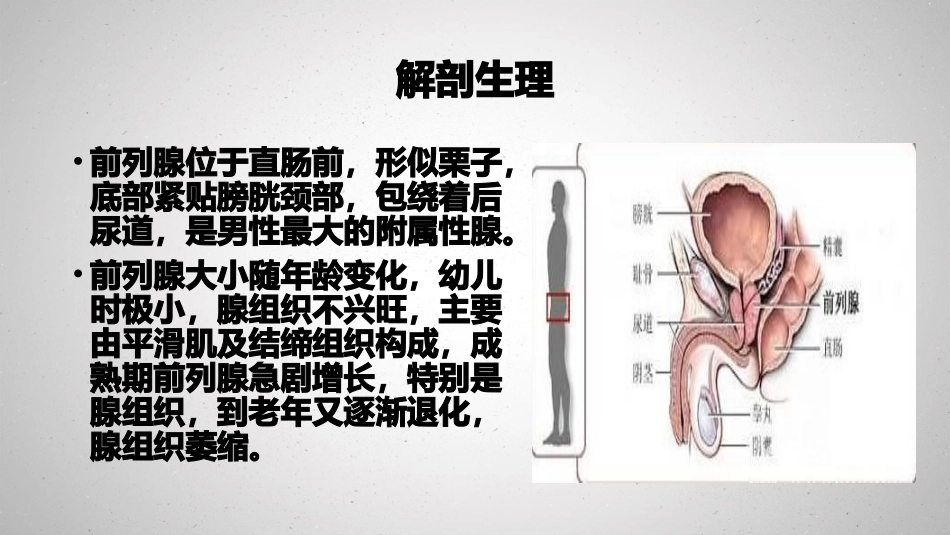 良性前列腺增生病人的护理_第3页