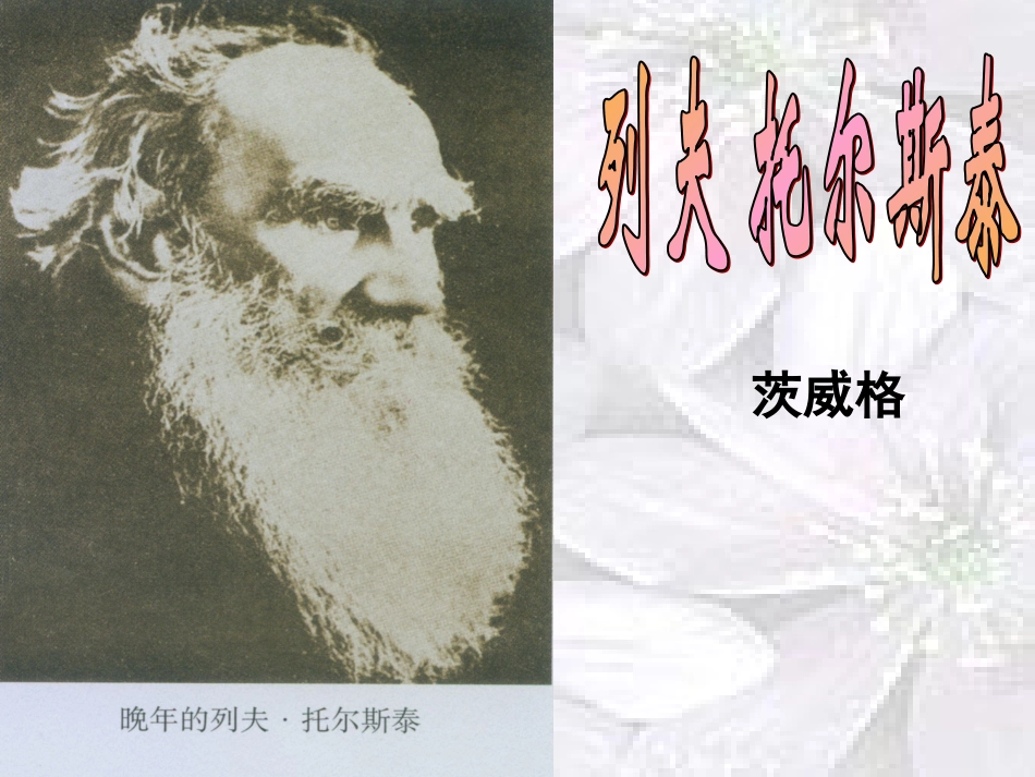 列夫·托尔斯泰_第3页